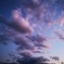 紫雲