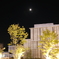 街のホール夜景4
