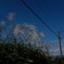 秋空
