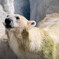 上野動物園にて006
