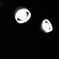 light.m