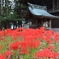 近くの神社にて