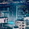 Blue Hong Kong