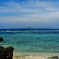 美ら海水族館の海