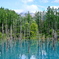 Blue Pond
