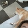 枕犬！爆睡