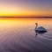 ウトナイ湖のご来光