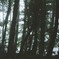 霧の蔵王