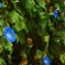 B7FF3764-5082-4904-87F2-C34B7B2D5711