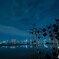 晴海埠頭