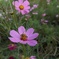 IMG_20191005_154815