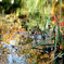 DSC01705kk