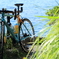 自転車