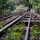 廃トロッコ