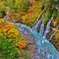 白ひげの滝