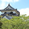 彦根城