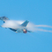 三沢2019F-2の羽根