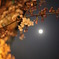 Cherry Blossom & Moon @Kiyomizu temple