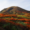 秋田駒ケ岳