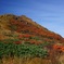 秋田駒ケ岳