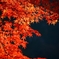 寂光院の紅葉＃２