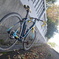 神社　TREK Domane　ロードバイク
