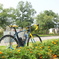 花壇　TREK Domane ロードバイク