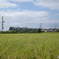 万葉まほろば線の227系