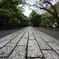 にっぽんの参道