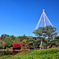 兼六園？いや東京の昭和記念公園です。