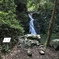 白滝