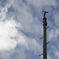 IMG_9561