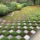 東福寺