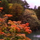 紅葉の季節