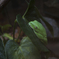 20191014_Q_04