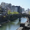 DSC04857