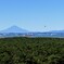 富士・東京湾・岬の松