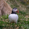 DSC09591-3