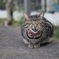 「何見とんじゃわれぇぇ」〔申一〕
