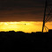 gold line