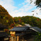 古き良き紅葉