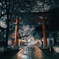 夜の花園神社