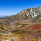 立山室堂の秋