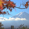 富士山が見える