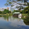 清澄庭園