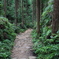熊野古道