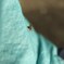 カメムシ飛んだ