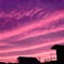 今日の夕日