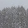 雪華舞