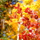 40CF4904-D683-419B-BB67-1B694BE4FCB3